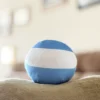 05-Argentina-8inch-3 Argentinaball, Argentina Countryball Plushie, 8 inch
