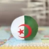 13-Algeria-4-inch-3 V2 Algeria Countryball plushie, back view